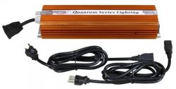 Quantum 1000 Watt E Ballast